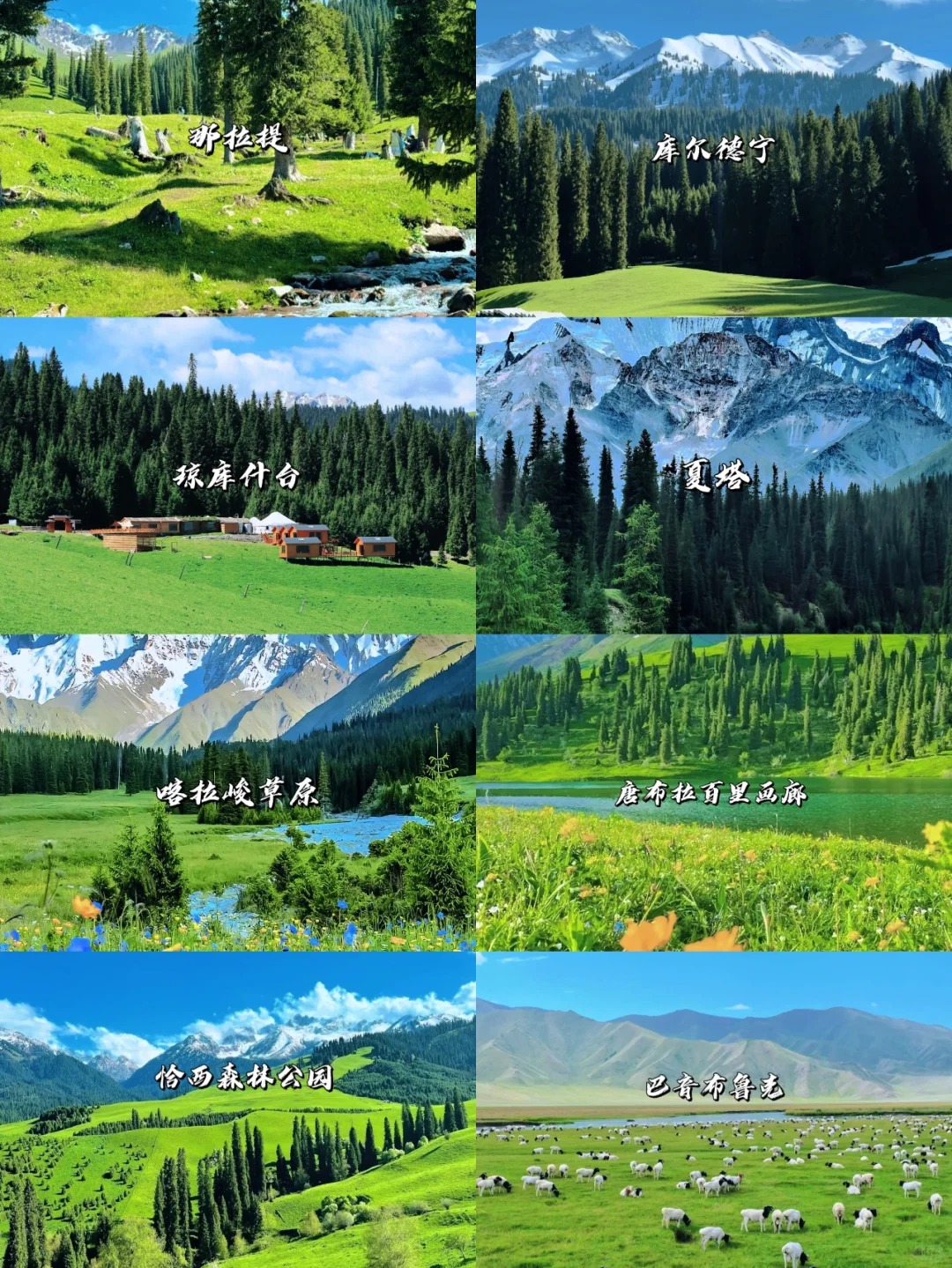 一次性讲清楚｜新疆伊犁八大草原怎么选？_1_风驰旅行_来自tour520旅游攻略